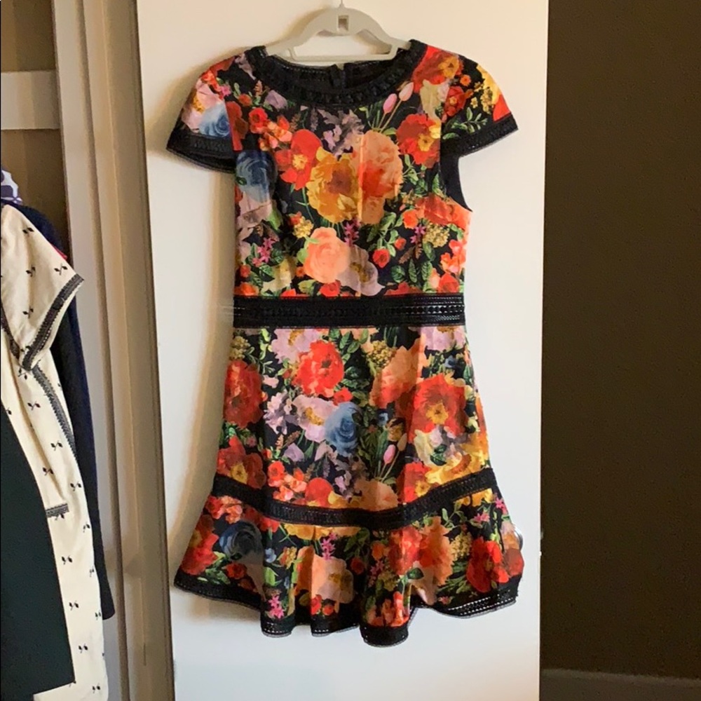 Alice & Olivia Rapunzel dress